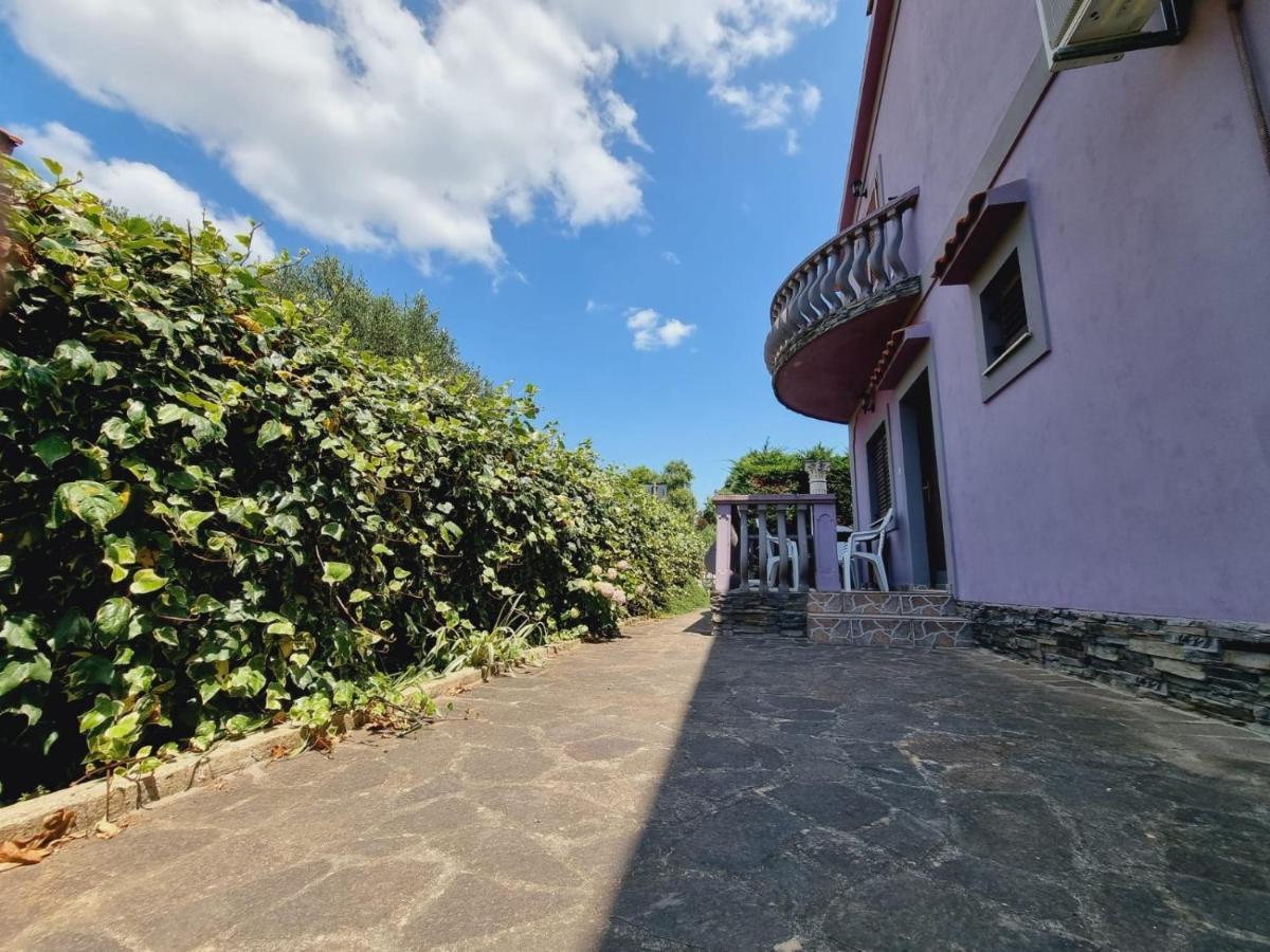 Apartmani Nika Bibinje Eksteriør bilde
